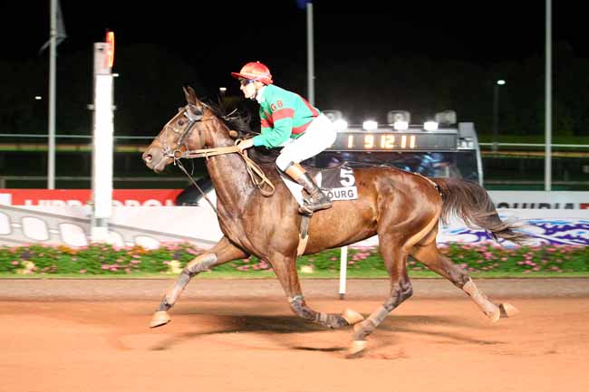 Photo d'arrivée de la course pmu PRIX DES IFS à CABOURG le Vendredi 11 août 2017