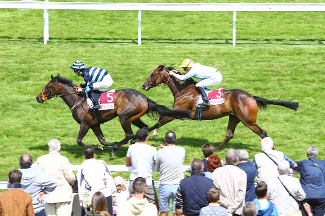 Photo d'arrivée de la course pmu PRIX DES GARDENIAS à CLAIREFONTAINE le Vendredi 11 août 2017