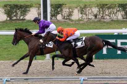 Photo d'arrivée de la course pmu PRIX DE PRE-EN-PAIL à DEAUVILLE le Samedi 12 août 2017