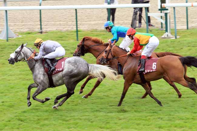 Photo d'arrivée de la course pmu PRIX MANGANATE à DEAUVILLE le Samedi 12 août 2017