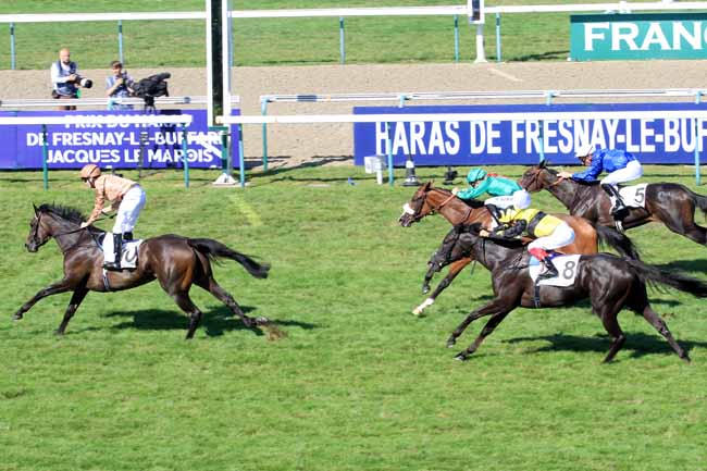 Photo d'arrivée de la course pmu PRIX MINERVE à DEAUVILLE le Dimanche 13 août 2017