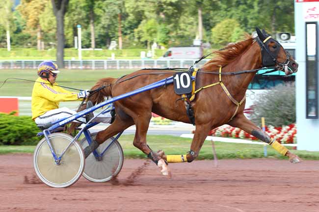 Photo d'arrivée de la course pmu PRIX DE LA MUETTE à ENGHIEN le Dimanche 13 août 2017