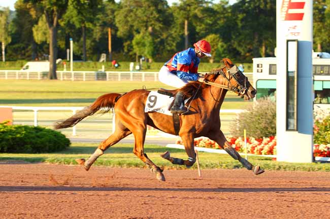 Photo d'arrivée de la course pmu PRIX DE PAILLENCOURT à ENGHIEN le Dimanche 13 août 2017
