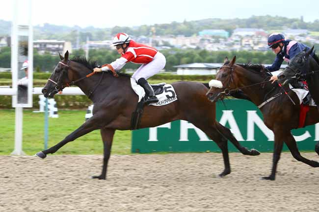 Photo d'arrivée de la course pmu PRIX DU COUESNON - CATEGORIE LEADERSHIP à DEAUVILLE le Jeudi 17 août 2017