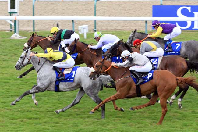 Photo d'arrivée de la course pmu PRIX ETALON MUHTATHIR AU HARAS DU MEZERAY à DEAUVILLE le Samedi 19 août 2017