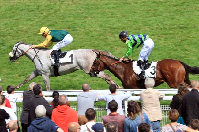 Photo d'arrivée de la course pmu PRIX IRISH RIVER à DEAUVILLE le Dimanche 20 août 2017