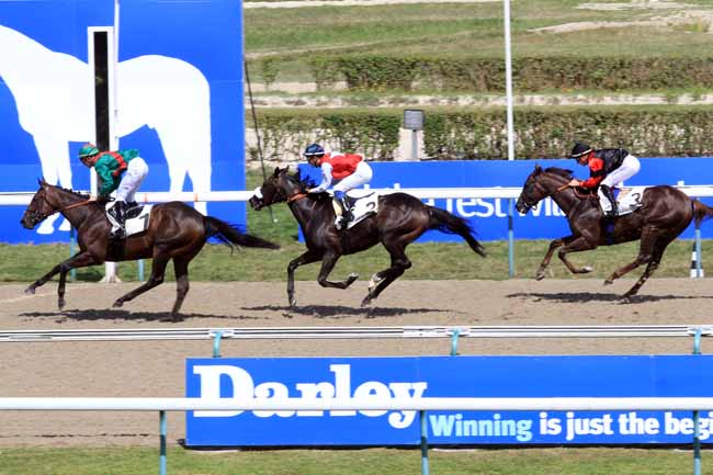 Photo d'arrivée de la course pmu PRIX DU LOGIS à DEAUVILLE le Dimanche 20 août 2017