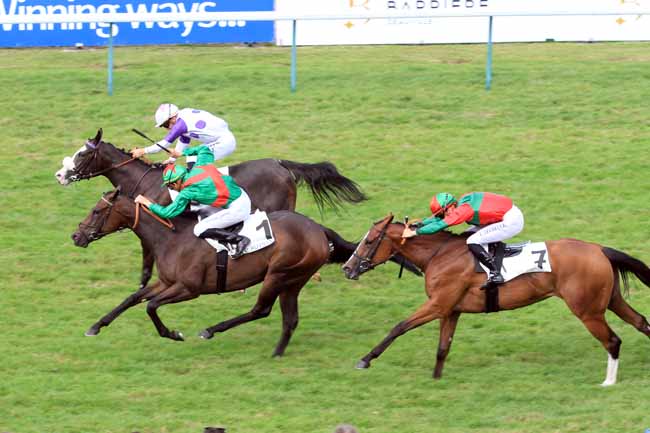 Photo d'arrivée de la course pmu PRIX D'AVRANCHES à DEAUVILLE le Dimanche 20 août 2017