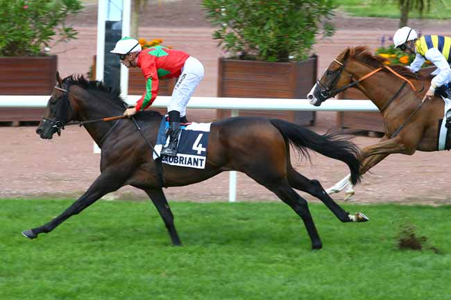 Photo d'arrivée de la course pmu PRIX DE SAINT-CLOUD à CHATEAUBRIANT le Lundi 21 août 2017