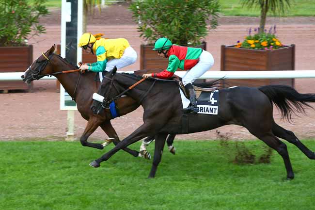 Photo d'arrivée de la course pmu PRIX DE LA REGION BRETAGNE à CHATEAUBRIANT le Lundi 21 août 2017