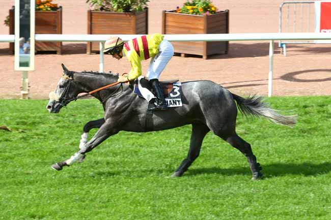 Photo d'arrivée de la course pmu PRIX DJARVIS à CHATEAUBRIANT le Lundi 21 août 2017