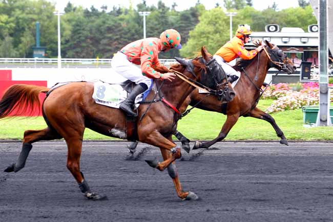 Photo d'arrivée de la course pmu PRIX D'ABBEVILLE à PARIS-VINCENNES le Lundi 21 août 2017