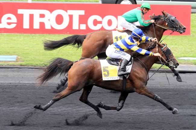 Photo d'arrivée de la course pmu PRIX HERVE CERAN-MAILLARD à PARIS-VINCENNES le Lundi 21 août 2017
