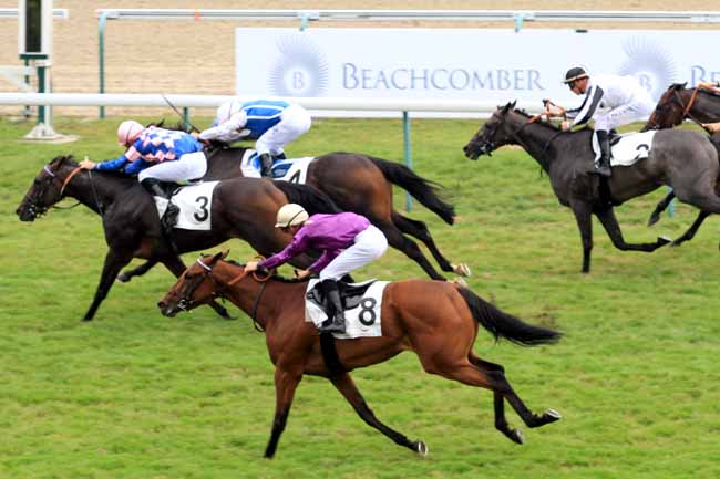 Photo d'arrivée de la course pmu PRIX DE LA BARBERIE à DEAUVILLE le Mardi 22 août 2017