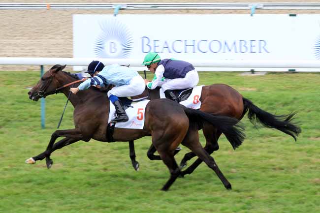 Photo d'arrivée de la course pmu PRIX DE LA REBOURSIERE à DEAUVILLE le Mardi 22 août 2017