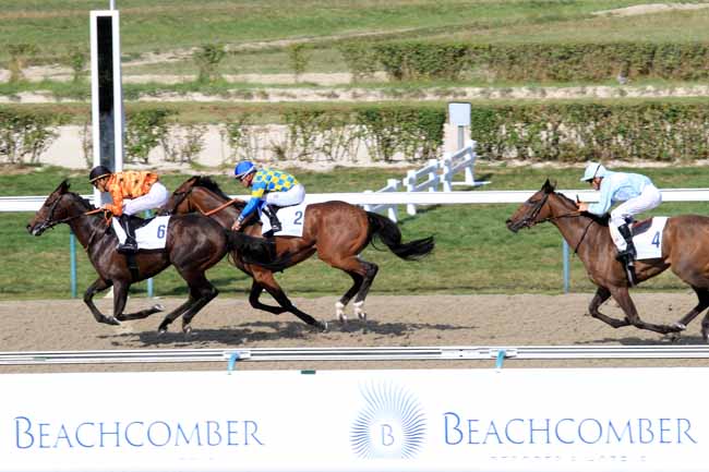 Photo d'arrivée de la course pmu PRIX DE BEUZEVILLE à DEAUVILLE le Mardi 22 août 2017
