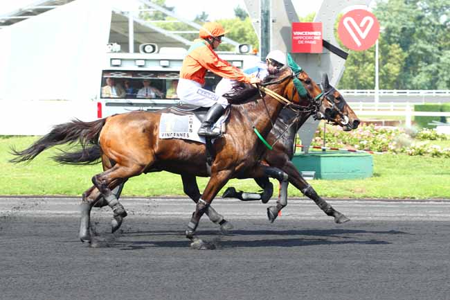 Photo d'arrivée de la course pmu PRIX DE SEGRE à PARIS-VINCENNES le Mercredi 23 août 2017