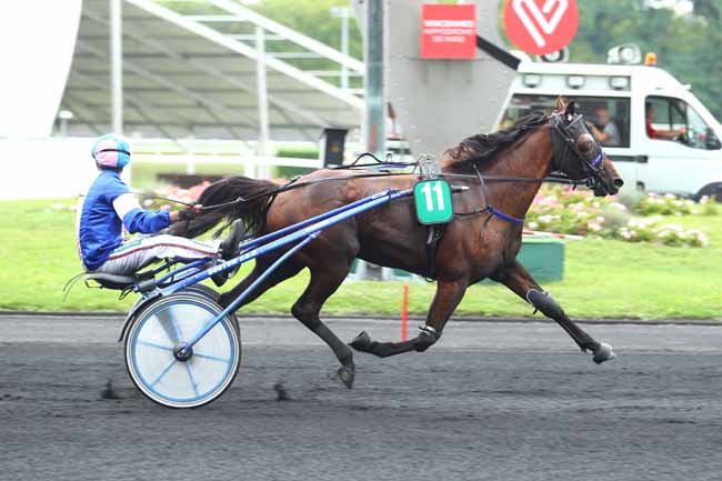 Photo d'arrivée de la course pmu PRIX DE JUSSEY à PARIS-VINCENNES le Mercredi 23 août 2017