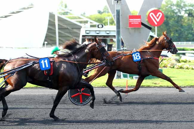 Photo d'arrivée de la course pmu PRIX DU PERIGORD à PARIS-VINCENNES le Mercredi 23 août 2017