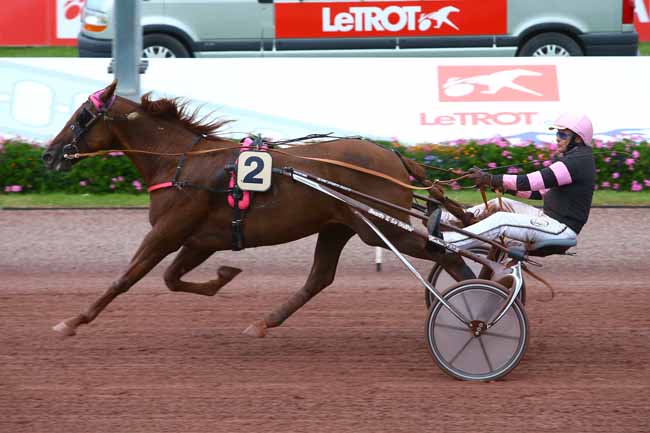 Photo d'arrivée de la course pmu PRIX DU PIN AU HARAS à CABOURG le Vendredi 25 août 2017