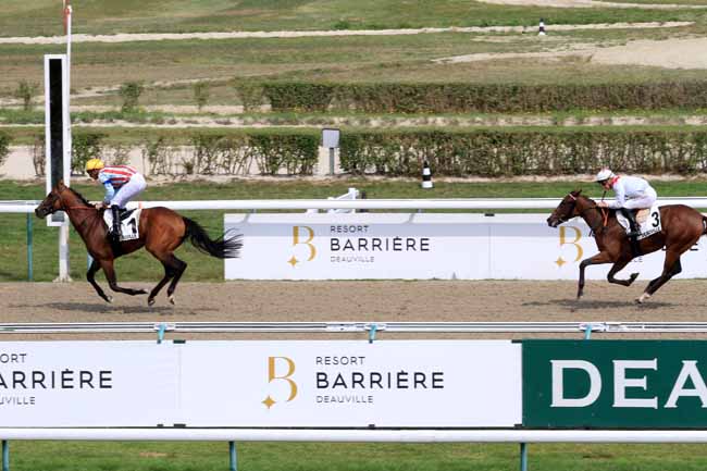 Photo d'arrivée de la course pmu PRIX DE LA RECONVERSION D'UN CHEVAL DE COURSES EN CHEVAL DE LOISIR à DEAUVILLE le Samedi 26 août 2017