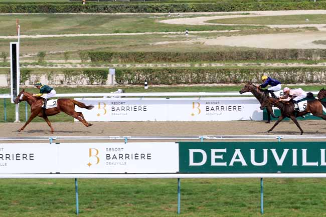 Photo d'arrivée de la course pmu PRIX DE LA RECONVERSION D'UN CHEVAL DE COURSES EN CHEVAL DE DRESSAGE à DEAUVILLE le Samedi 26 août 2017