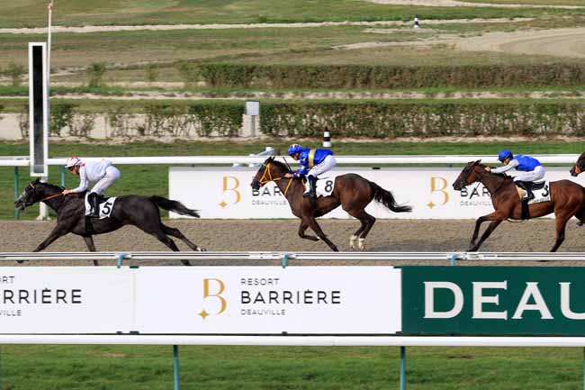 Photo d'arrivée de la course pmu PRIX DE LA RECONVERSION D'UN CHEVAL DE COURSES EN CHEVAL DE COMPLET à DEAUVILLE le Samedi 26 août 2017