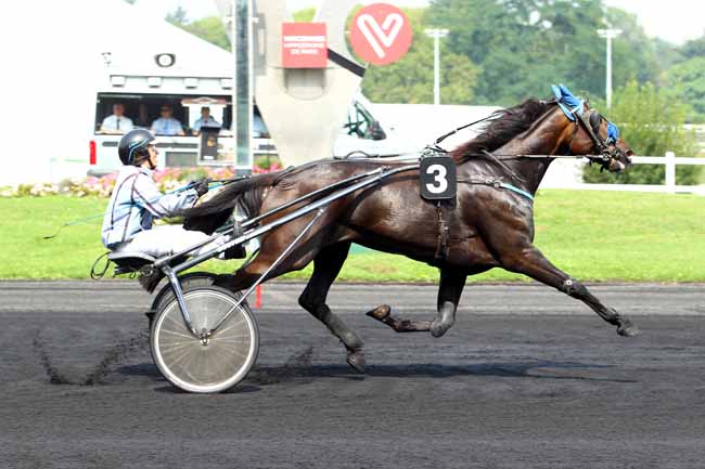 Photo d'arrivée de la course pmu PRIX DE SAINT-MANDE à PARIS-VINCENNES le Samedi 26 août 2017