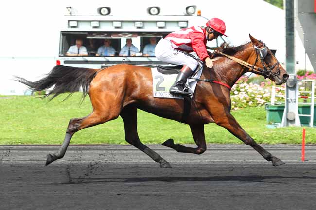 Photo d'arrivée de la course pmu PRIX DE BAZET à PARIS-VINCENNES le Samedi 26 août 2017