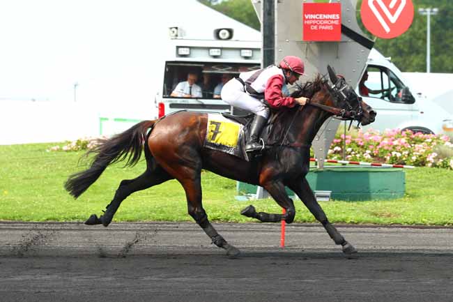 Photo d'arrivée de la course pmu PRIX PIERRE GAMARE à PARIS-VINCENNES le Samedi 26 août 2017