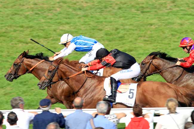 Photo d'arrivée de la course pmu PRIX QUINCEY BARRIERE à DEAUVILLE le Dimanche 27 août 2017