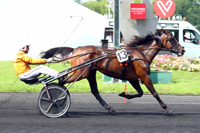 Photo d'arrivée de la course pmu PRIX DE DIJON à PARIS-VINCENNES le Lundi 28 août 2017