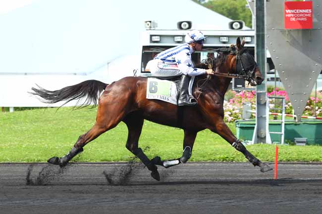 Photo d'arrivée de la course pmu PRIX DE TOULON à PARIS-VINCENNES le Lundi 28 août 2017