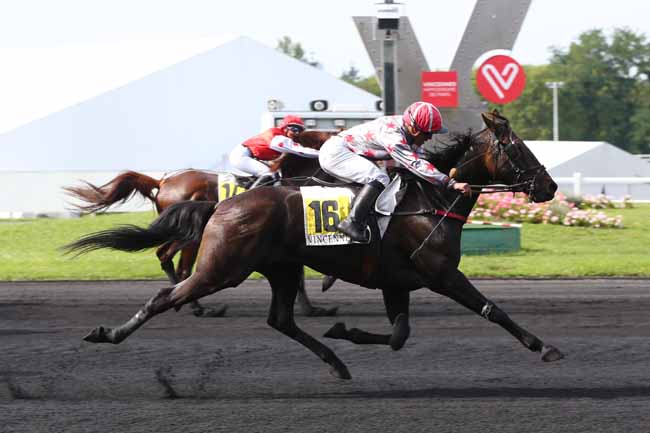 Photo d'arrivée de la course pmu PRIX DE PUTEAUX à PARIS-VINCENNES le Lundi 28 août 2017