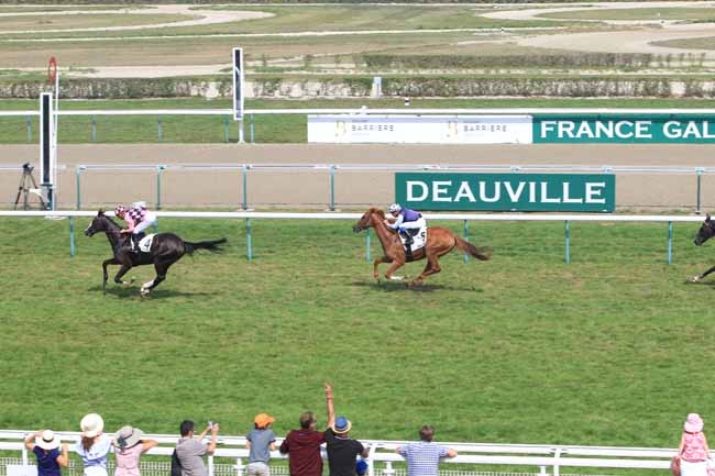 Photo d'arrivée de la course pmu PRIX DES ROCHES NOIRES à DEAUVILLE le Lundi 28 août 2017