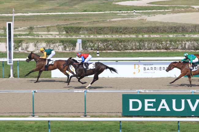 Photo d'arrivée de la course pmu PRIX DU LOUVET à DEAUVILLE le Lundi 28 août 2017