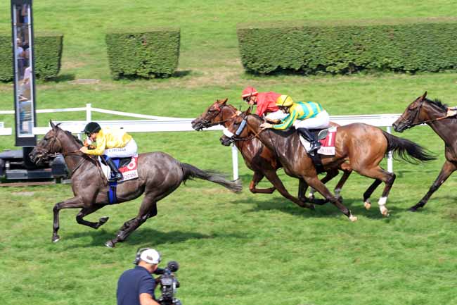 Photo d'arrivée de la course pmu PRIX ARGUMENT à CLAIREFONTAINE le Mardi 29 août 2017