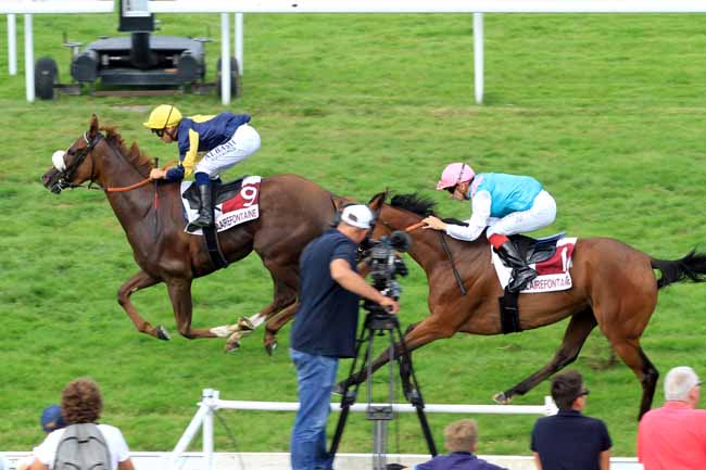 Photo d'arrivée de la course pmu PRIX DE LA PETITE FERME à CLAIREFONTAINE le Mardi 29 août 2017