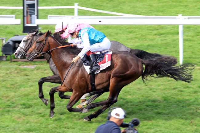 Photo d'arrivée de la course pmu PRIX DE LA VILLA STRASSBURGER à CLAIREFONTAINE le Mardi 29 août 2017