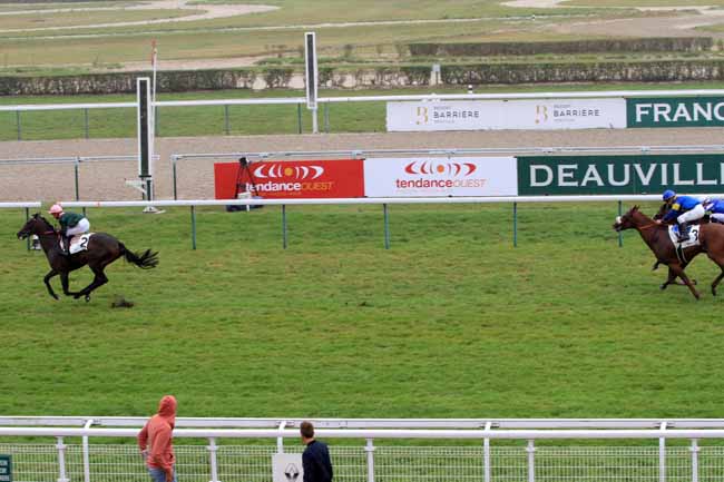 Photo d'arrivée de la course pmu PRIX DE LA CAUVINIERE à DEAUVILLE le Mercredi 30 août 2017