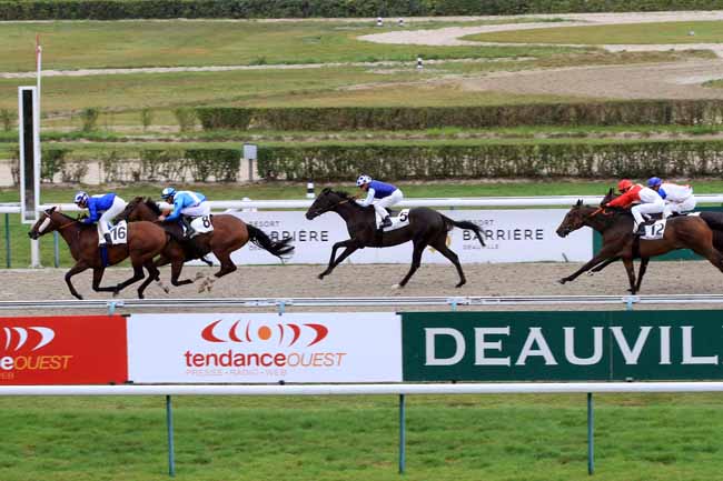 Photo d'arrivée de la course pmu PRIX DU BOCAGE NORMAND à DEAUVILLE le Mercredi 30 août 2017