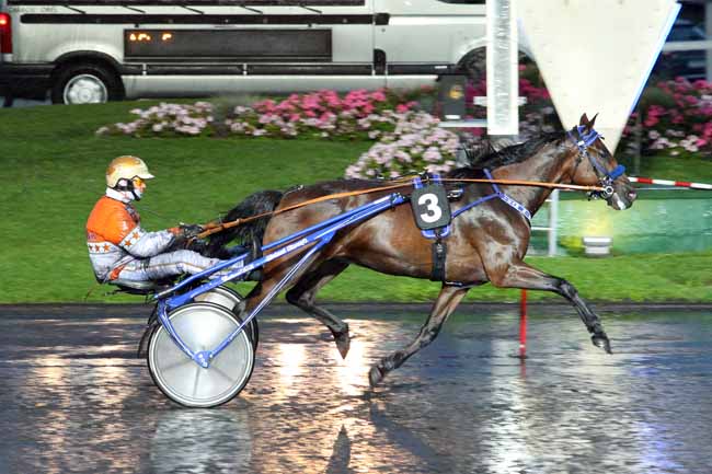 Photo d'arrivée de la course pmu PRIX ALEXANDRA à PARIS-VINCENNES le Vendredi 1 septembre 2017