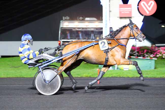 Photo d'arrivée de la course pmu PRIX INO à PARIS-VINCENNES le Vendredi 1 septembre 2017
