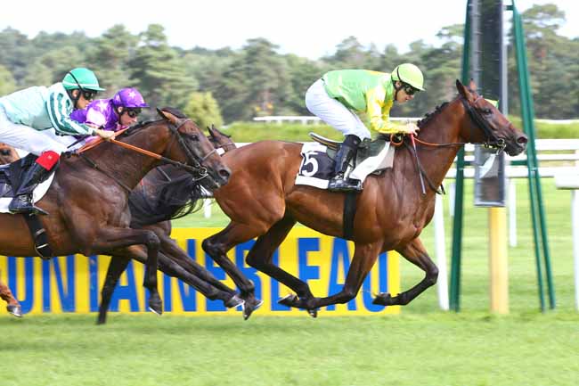 Photo d'arrivée de la course pmu PRIX DES PEUPLIERS à FONTAINEBLEAU le Vendredi 1 septembre 2017