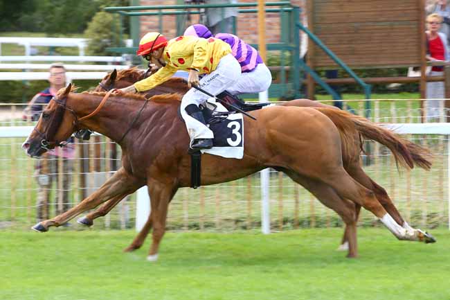 Photo d'arrivée de la course pmu PRIX DU ROCHER CASSEPOT à FONTAINEBLEAU le Vendredi 1 septembre 2017