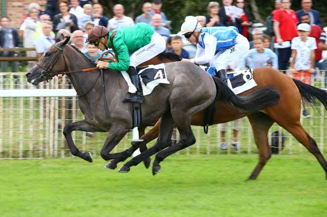 Photo d'arrivée de la course pmu PRIX DE MALESHERBES à FONTAINEBLEAU le Vendredi 1 septembre 2017