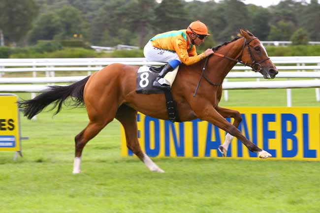 Photo d'arrivée de la course pmu GRAND PRIX DE FONTAINEBLEAU à FONTAINEBLEAU le Vendredi 1 septembre 2017