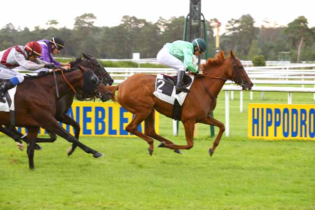 Photo d'arrivée de la course pmu PRIX DE LA PINEDE à FONTAINEBLEAU le Vendredi 1 septembre 2017