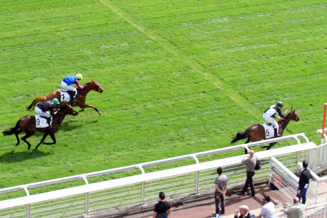 Photo d'arrivée de la course pmu PRIX AMATI à AUTEUIL le Vendredi 1 septembre 2017