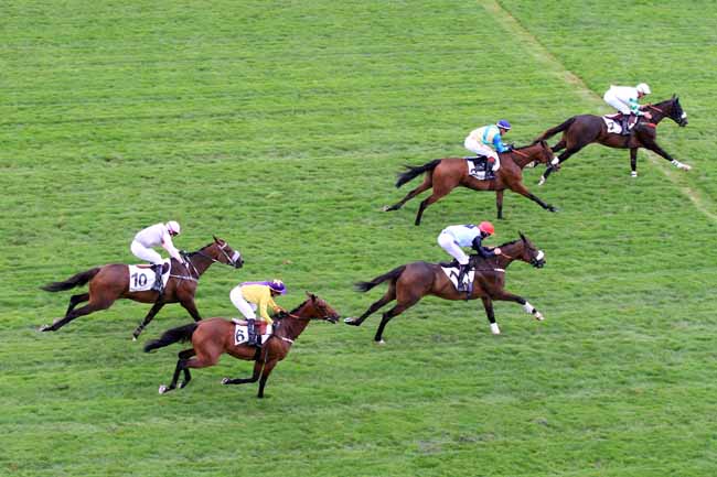 Photo d'arrivée de la course pmu PRIX DE L'ORLEANAIS à AUTEUIL le Vendredi 1 septembre 2017